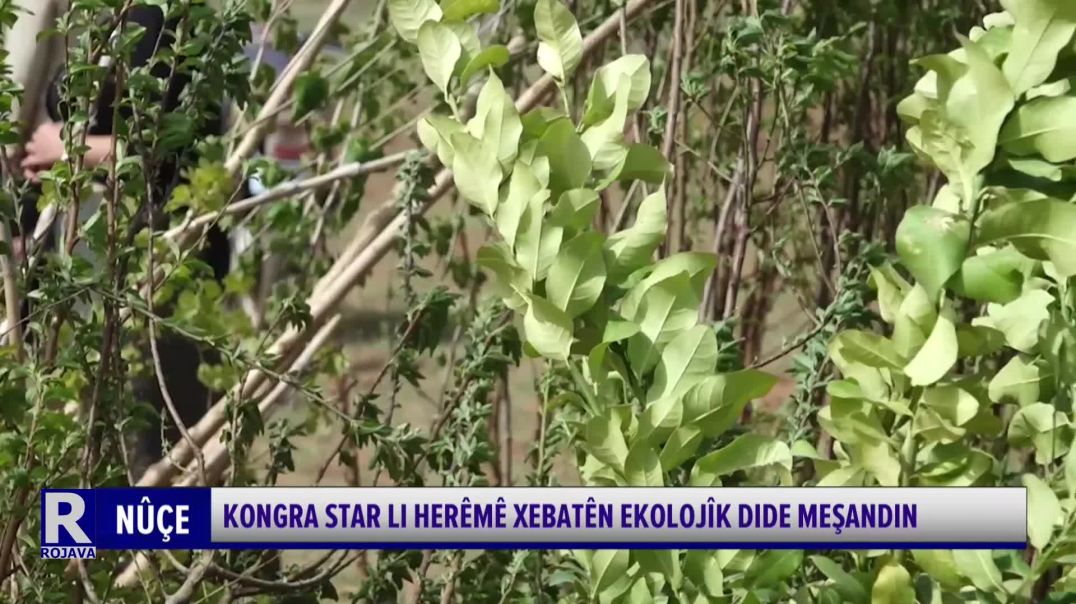 ⁣Kongra Star Li Herêmê Xebatên Ekolojîk Dide Meşandin