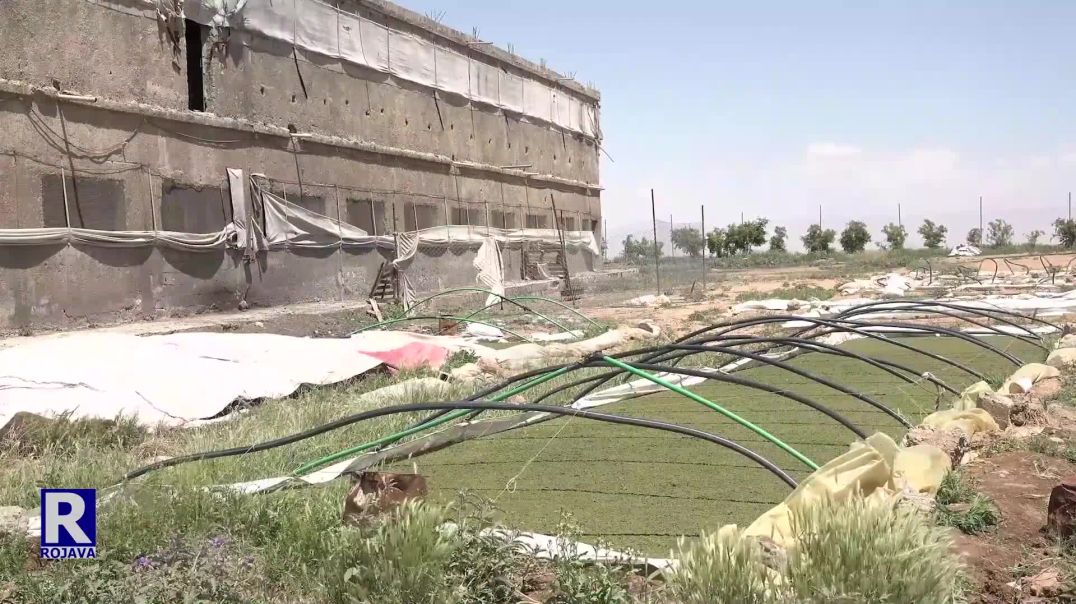 COTKARÊN BAJARÊ REQAYÊ GIYAYÊ AZOLA WEKE ÊMÊ SEWALAN BIKAR TÎNIN