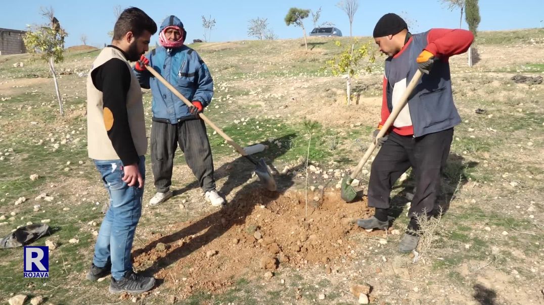 ⁣RÛBERÊN KESK LI QAMIŞLO TÊNE ZÊDEKIRIN