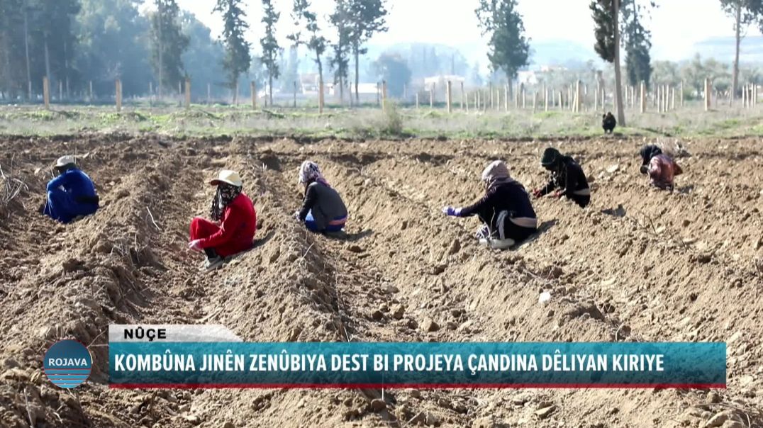 ⁣KOMBÛNA JINÊN ZENÛBIYA DEST BI PROJEYA ÇANDINA DÊLIYAN KIRIYE