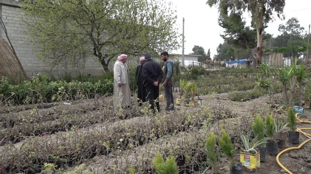 ⁣LI BAŞÛRÊ REQAYÊ GELEK ŞITILGEHÊN DAR Û KULÎLKAN HATINE VEKIRIN