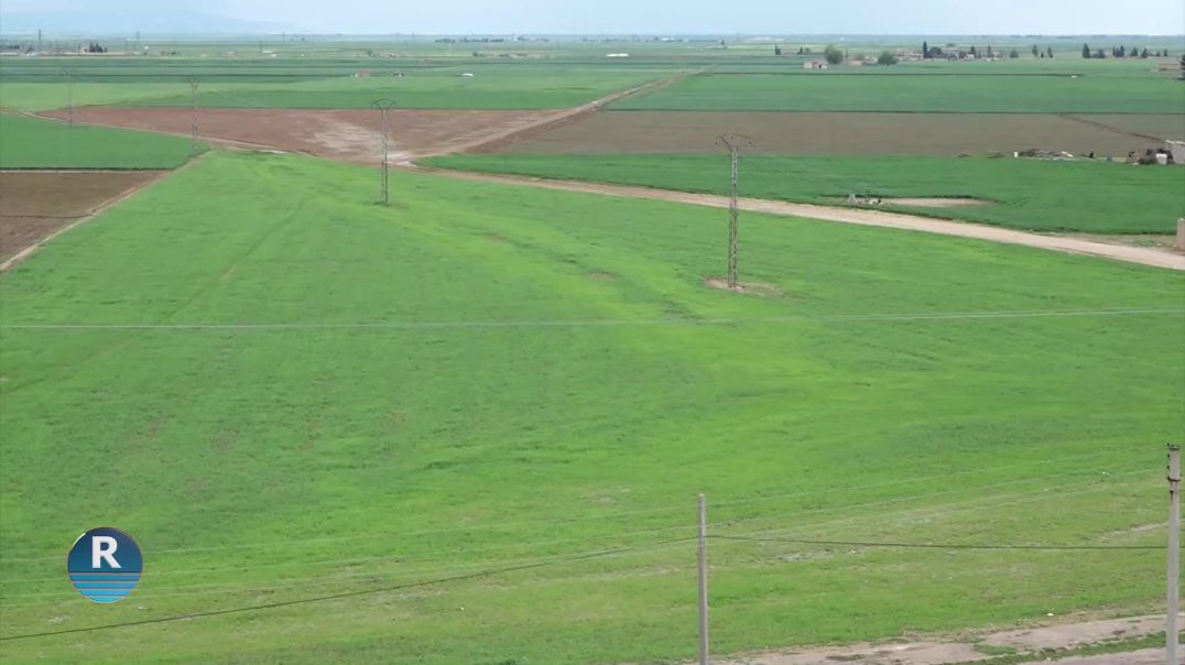 ⁣PIŞTÎ 2 SALÊN HIŞKESALIYÊ BARANA DAWIYÊ REWŞA ÇANDINIYÊ BAŞ KIRIYE