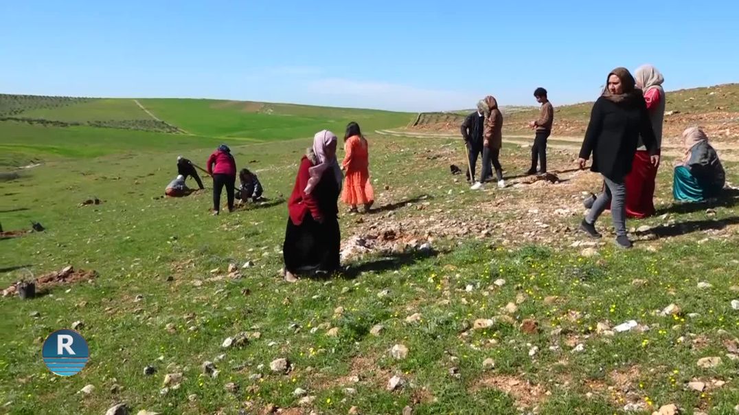 ⁣BI BONEYA 4'Ê NÎSANÊ LI BAJARÊ KOBANÊ DAR TÊN ÇANDIN