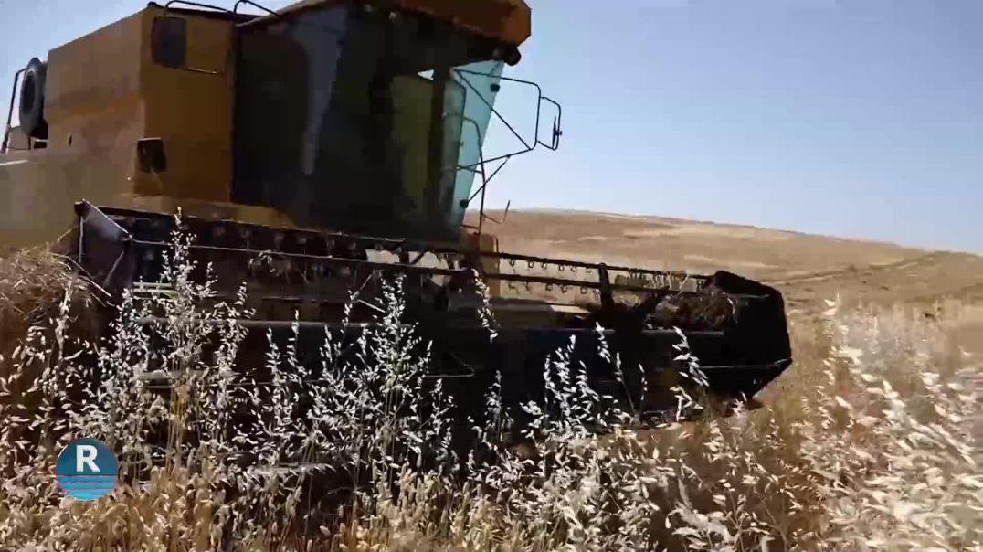 LI BAKUR Û ROJHILATÊ SÛRIYÊ ÇINÎNA MEWSIMÊ GENIM Ê ÎSAL BER BI DAWÎ VE DIÇE