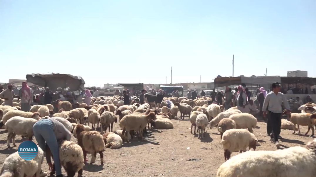 WELATIYÊN REQAYÊ SERDANA BAZARÊN FIROTINA PEZ DIKIN