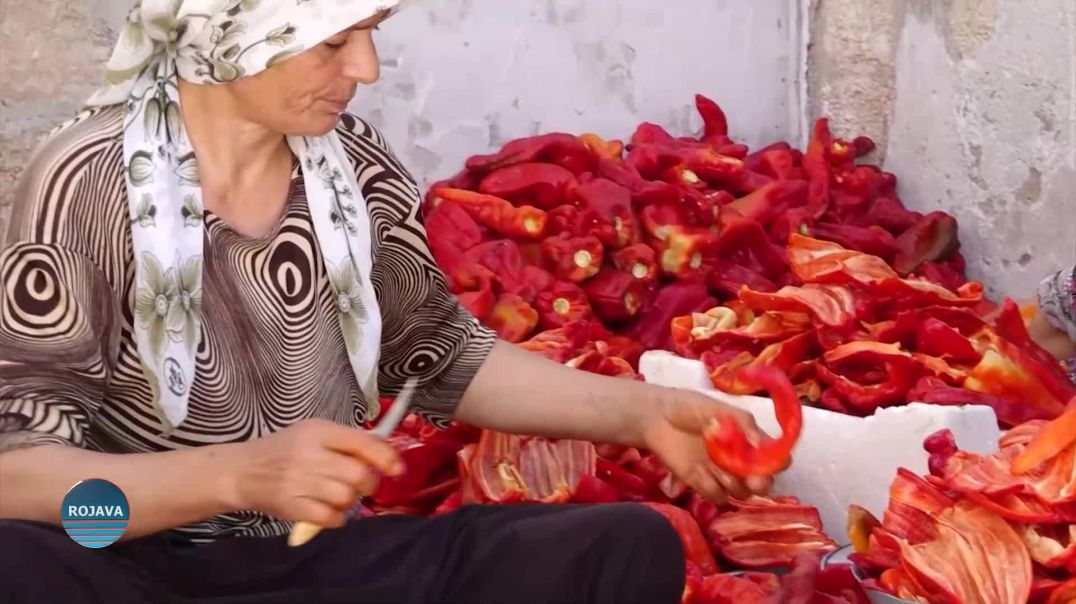 KOÇBEREKE EFRÎNÎ BI ÇÊKIRINA MÛNETÊ DEBARA JIYANA XWE DIKE