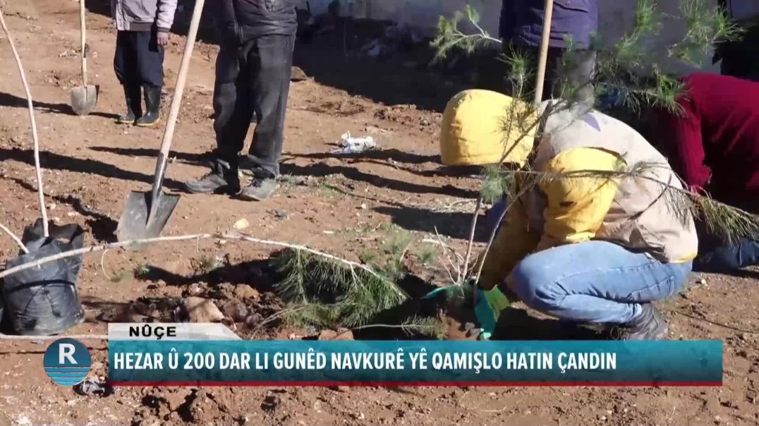 HEZAR Û 200 DAR LI GUNDÊ NAVKURÊ YÊ QAMIŞLO HATIN ÇANDIN