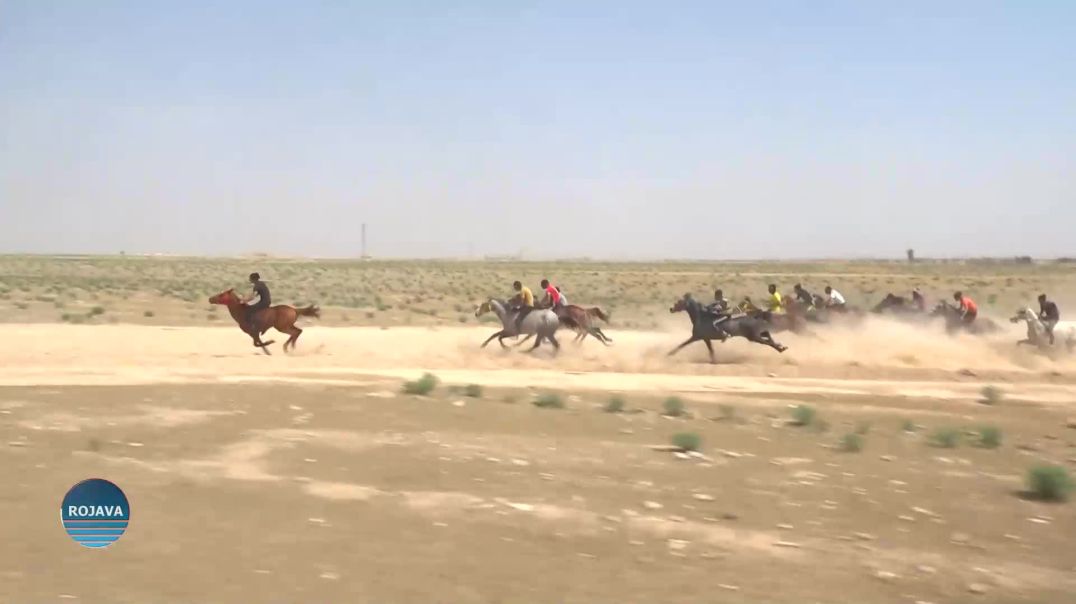 جمعية الخيول العربية في قامشلو وقبيلة الجحيش تنظمان مهرجاناً للخيول العربية الأصيلة في الحسكة
