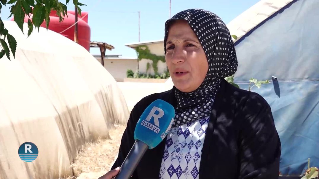 نساء مخيم برخدان في مقاطعة الشهباء ينددن بالعزلة المشددة على القائد آبو