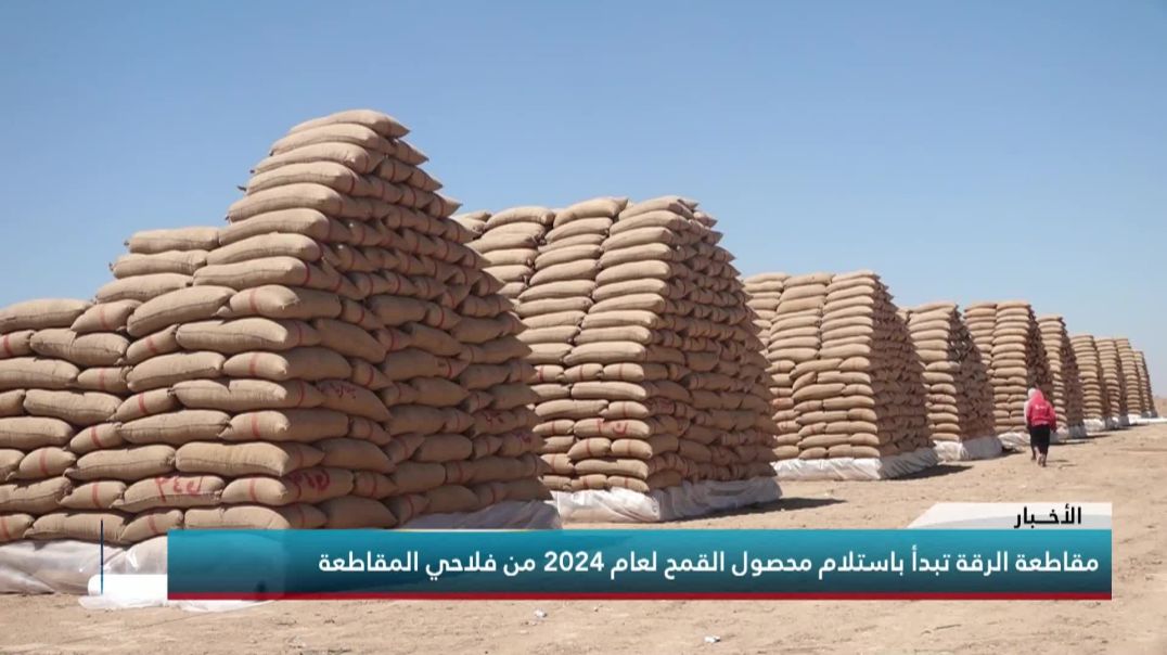 مقاطعة الرقة تبدأ باستلام محصول القمح لعام 2024 من فلاحي المقاطعة