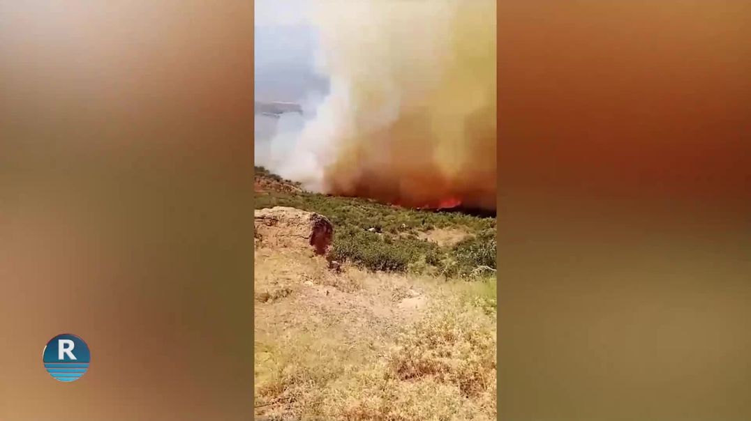 DEWLETA TIRK DAR Û DARISTANÊN EFRÎNIYAN DIŞEWITÎNE