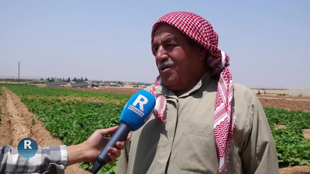 COTKARÊN ŞEHBAYÊ JI BO AVDANÎ Û ÇANDINIYÊ ENERJIYA ROJÊ BI KAR TÎNIN