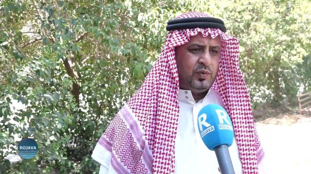 وجهاء من قبيلة طي: هجمات دير الزور تقف خلفها جهات محلية تابعة لحكومة دمشق وبالتآمر مع العدو التركي