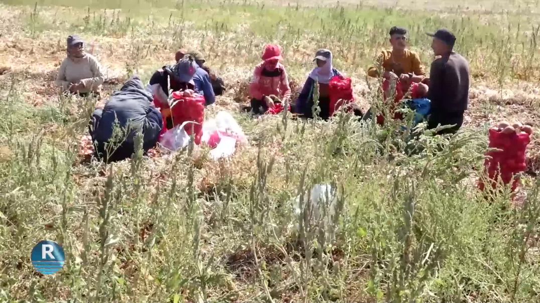 COTKARÊN ŞEHBAYÊ BI ÇINÎNA BERHEMÊN PÎVAZAN DEBARA JIYANA XWE DIKIN