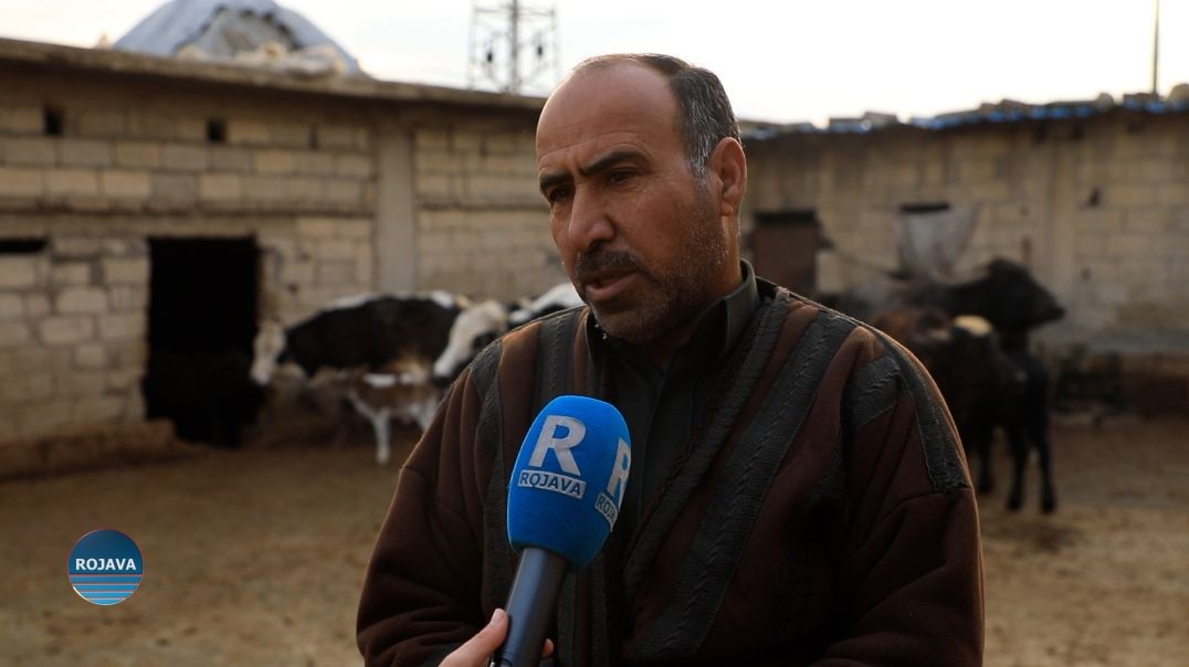 SÛKA BAJARÊ QAMIŞLO BI QEYMAXÊ GAMÊŞAN YÊ BIÇÊJ BINAVÛDENG E