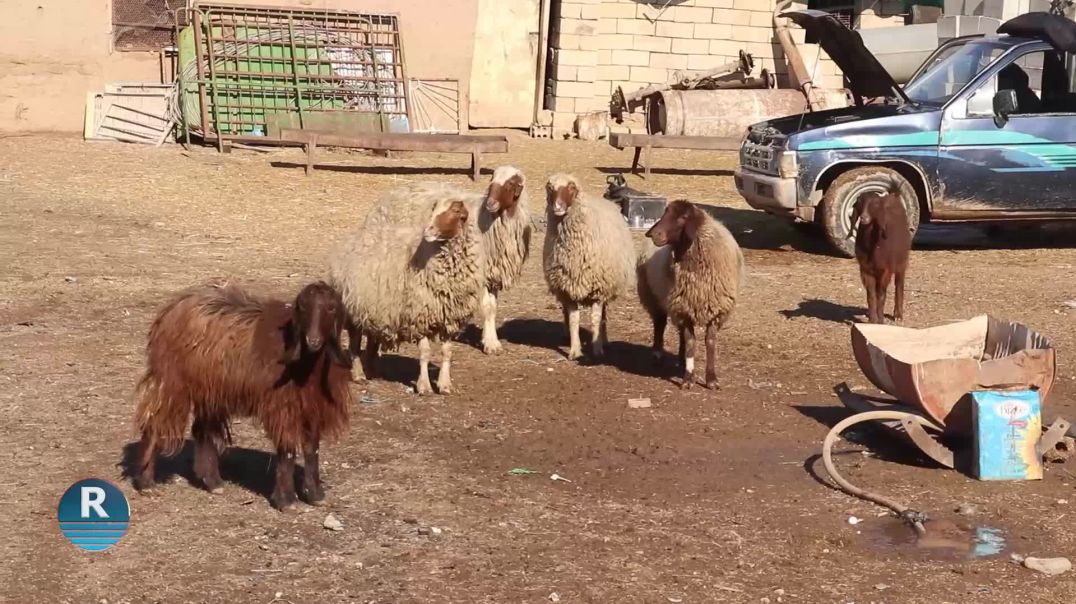 SEWALDARÎ LI BAKUR Û ROJHILATÊ SÛRIYÊ DI XETERIYEKE MEZIN DE DERBAS DIBE