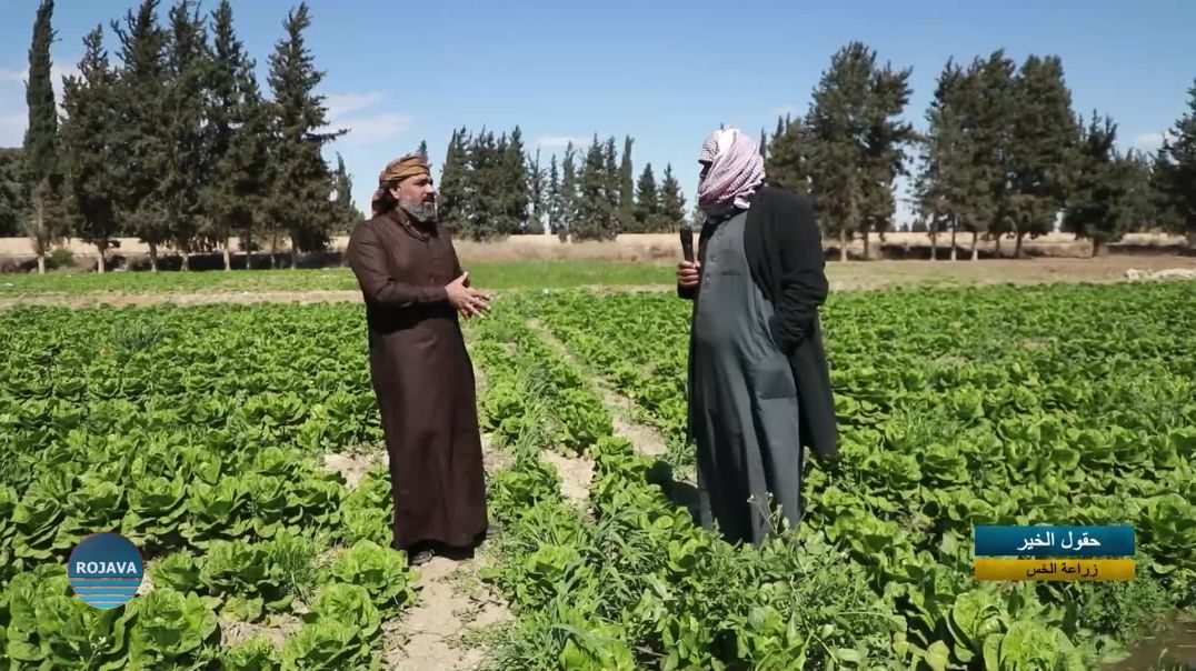 حقول الخير 22 - 3 - 2025