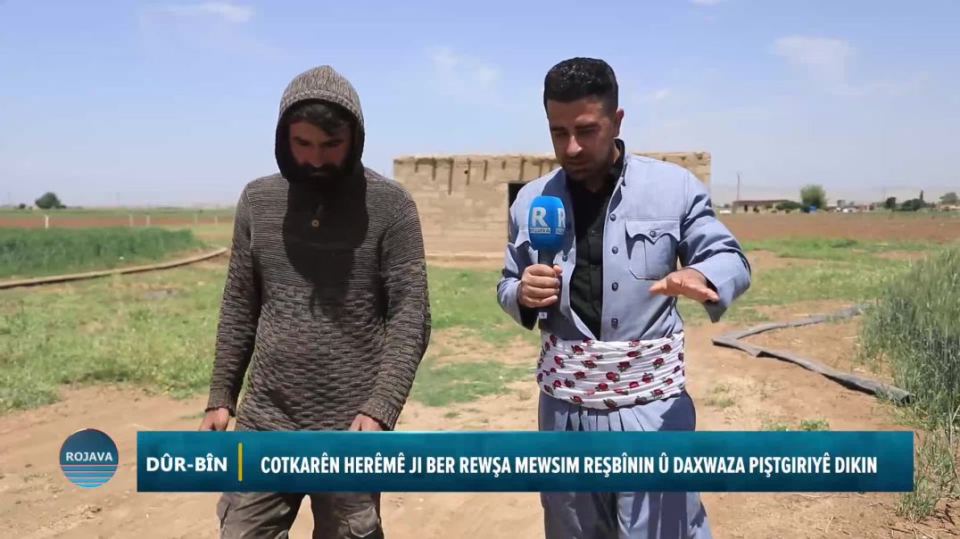 DÛR - BÎN 15 - 5 - 2025