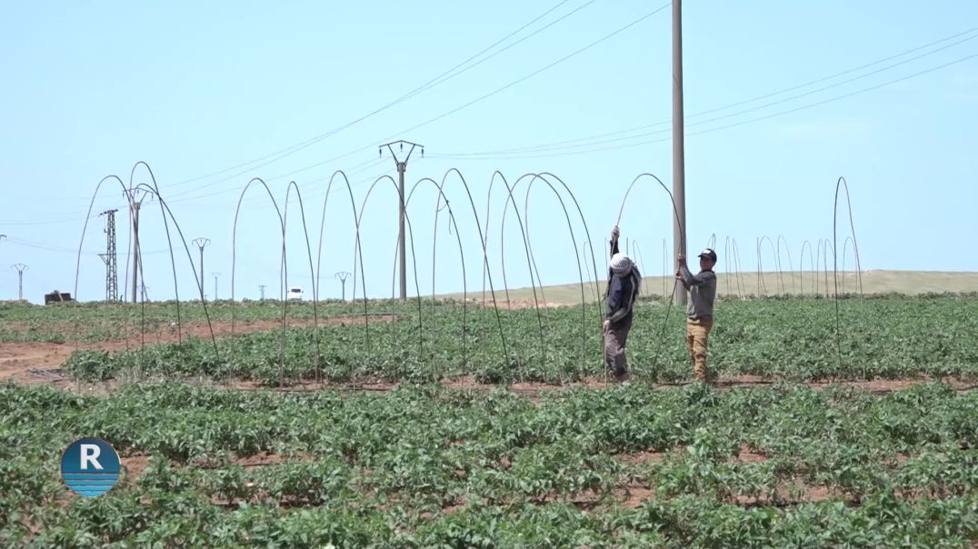 COTKATRÊN HERÊMÊ DEST BI PROJEYÊN ÇANDINA SEBZEYÊN HAVÎNÊ KIRINE