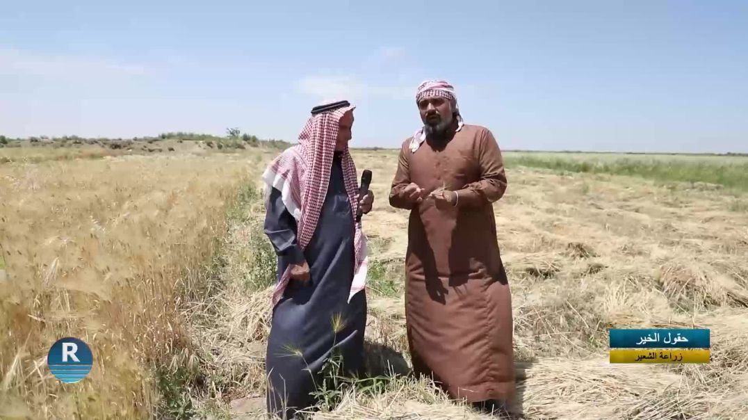 حقول الخير 24 - 5 - 2025
