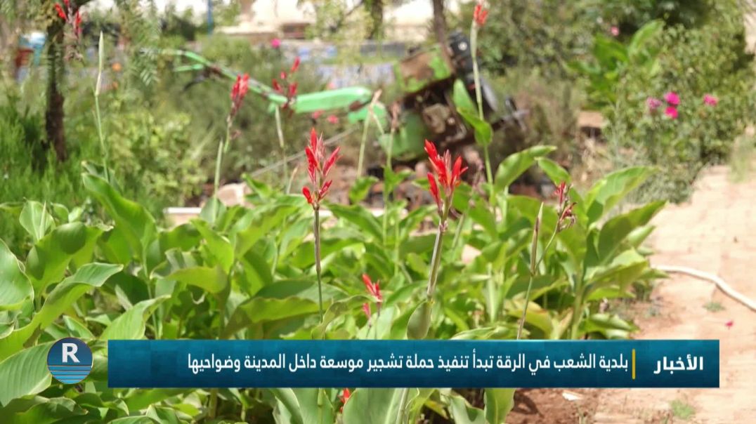 بلدية الشعب في الرقة تبدأ تنفيذ حملة تشجير موسعة داخل المدينة وضواحيها