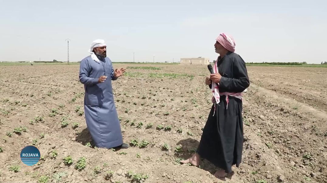 ⁣حقول الخير 17 - 5 - 2025