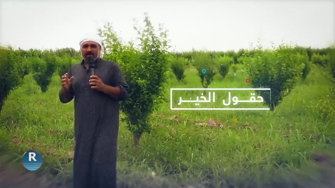 حقول الخير 21 – 6 - 2025