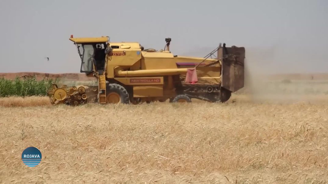 JINÊN REQAYÊ BI RÊYA PROJEYÊN ABORÎ BAZARA HERÊMÊ GEŞ DIKIN