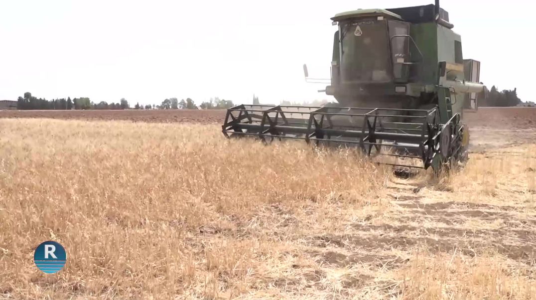 COTKARÊN KANTONA CIZÎRÊ TEVÎ HIŞKESALIYÊ ERDÊN XWE DIÇININ
