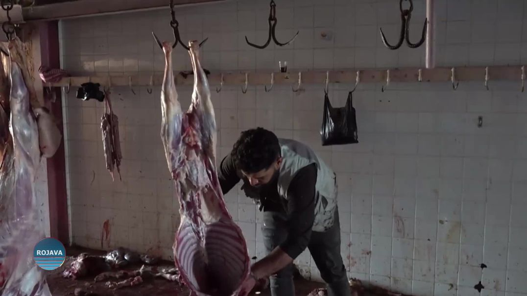 LI QAMIŞLO DESTPÊŞXERIYA BELAVKIRINA GOŞTÊ QURBANÊ LI SER MALBETAN DEWAM DIKE