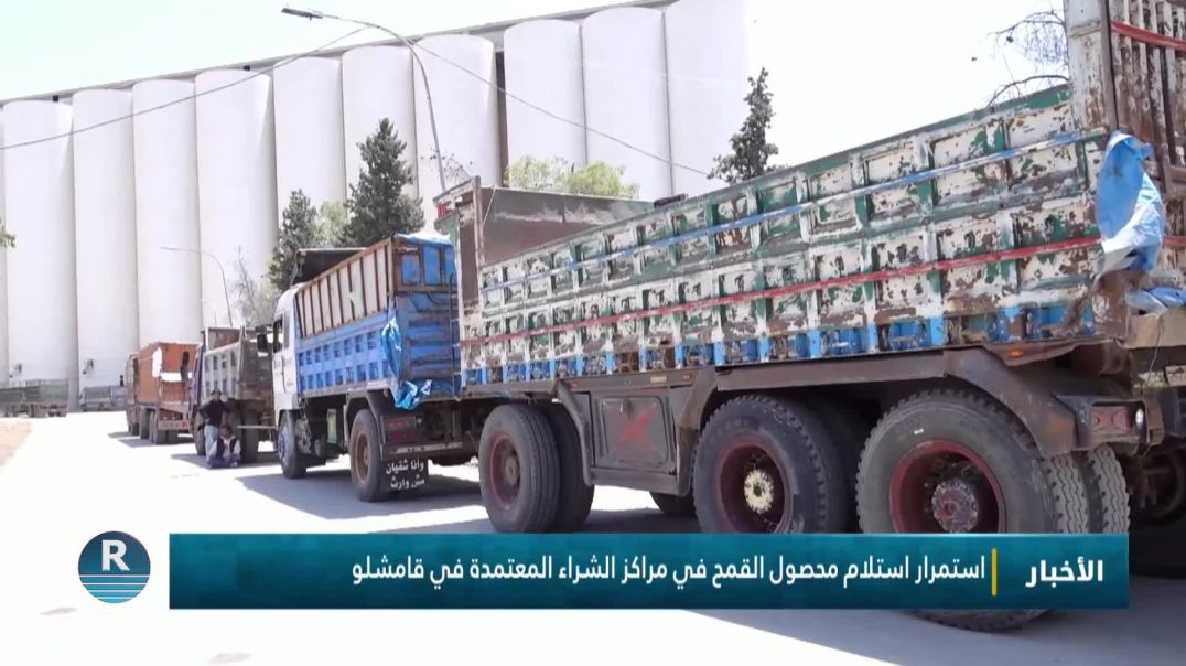 استمرار استلام محصول القمح في مراكز الشراء المعتمدة في قامشلو
