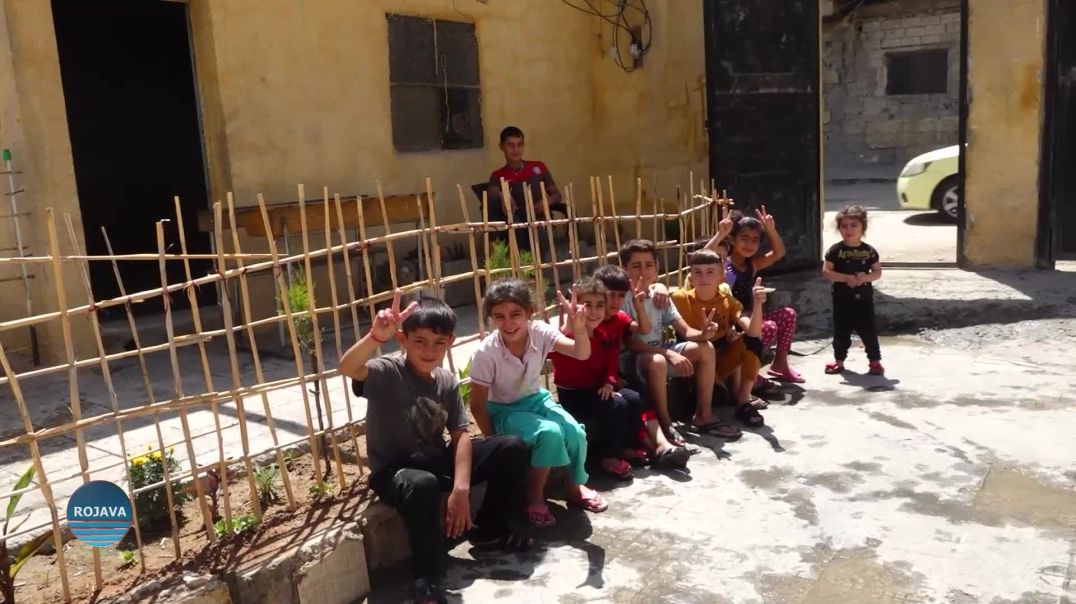 مع قدوم عيد الأضحى.. مهجرو عفرين بين جراح التهجير وحلم العودة القريب