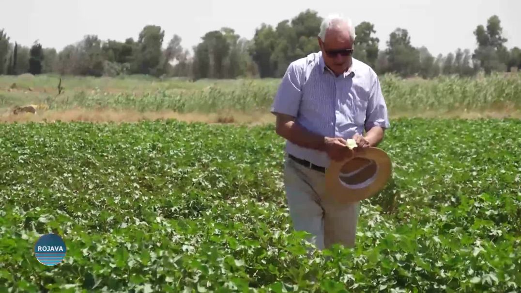 ⁣مركز البحوث العلمية الزراعية للإبتكار والتميّز في الرقة.. خطوة نحو تحقيق الأمن الغذائي للمنطقة