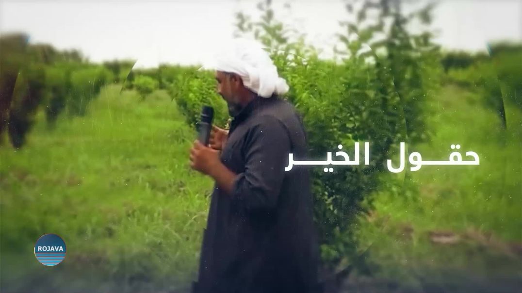 حقول الخير 19 - 7 - 2025