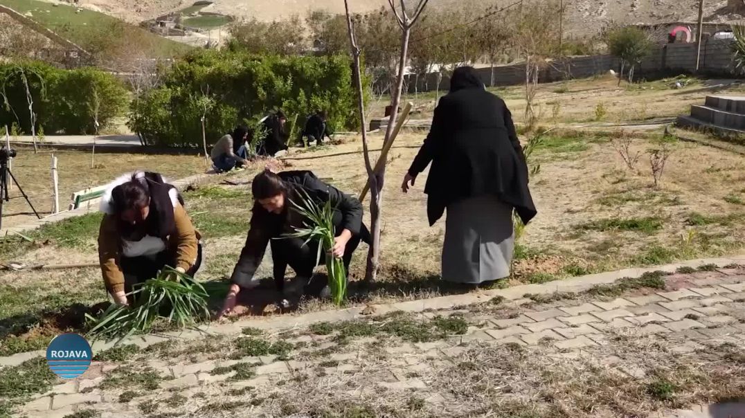 JI BER ŞEWITANDIN Û BIRÎNA DARAN XWEZAYA SÛRIYÊ DI METIRSIYÊ DE YE