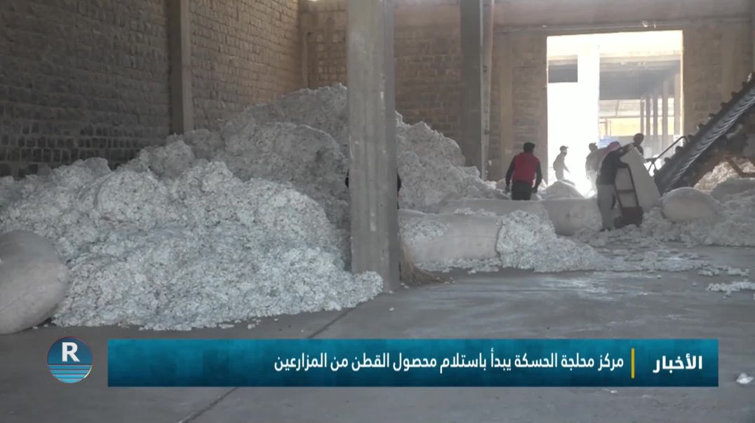 مركز محلجة الحسكة يبدأ باستلام محصول القطن من المزارعين