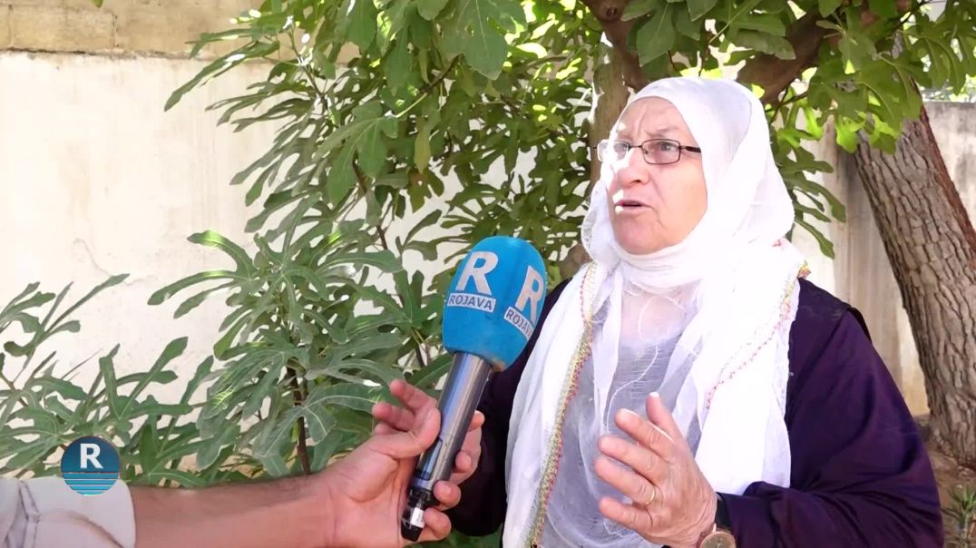 Dayikên Aştiyê: Banga Rêber Apo Ji Bo Hemû Gelên Rojhilata Navîn Çareserî Ye