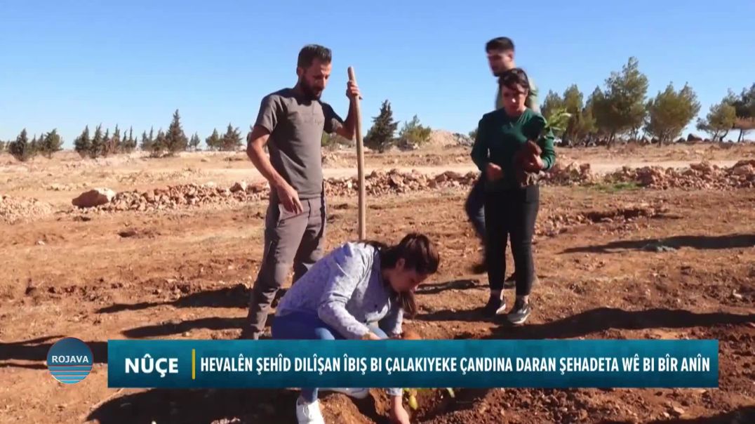 Hevalên Şehîd Dilîşan Îbiş Bi Çalakiyeke Çandina Daran Şehadeta Wê Bi Bîr Anîn