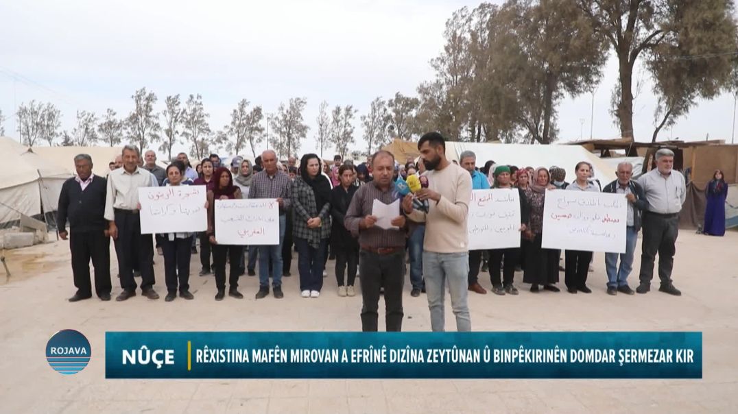 RÊXISTINA MAFÊN MIROVAN A EFRÎNÊ DIZÎNA ZEYTÛNAN Û BINPÊKIRINÊN DOMDAR ŞERMEZAR KIR