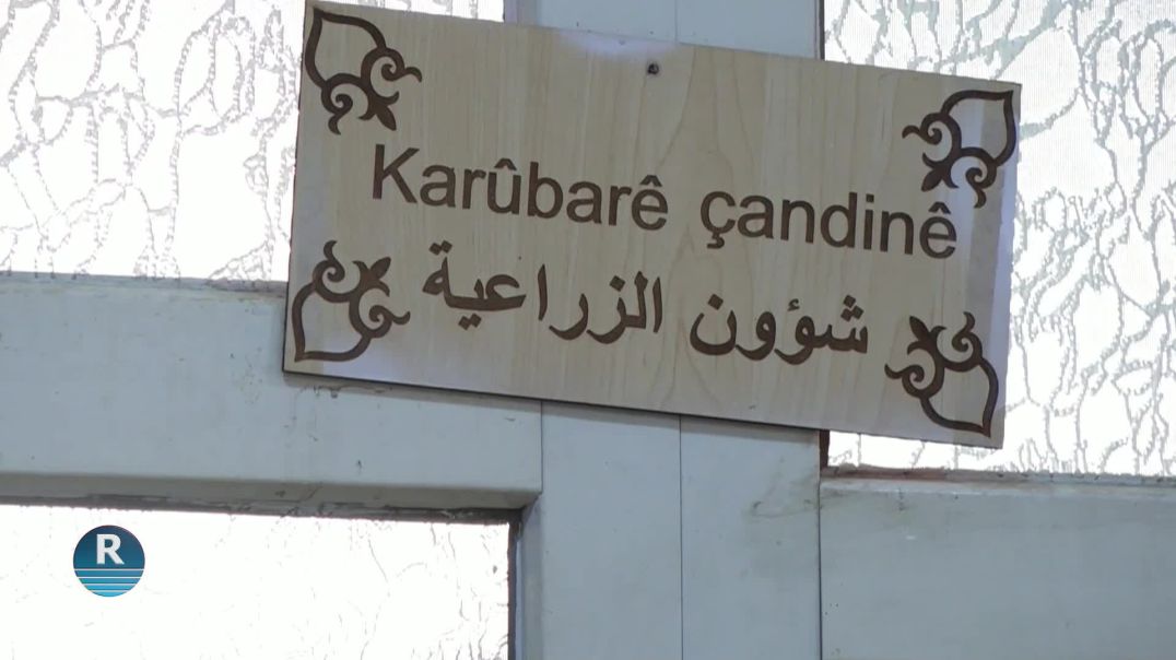 ⁣هيئة الاقتصاد والزراعة بمقاطعة الفرات تباشر بمنح الرخص الزراعية للمزارعين
