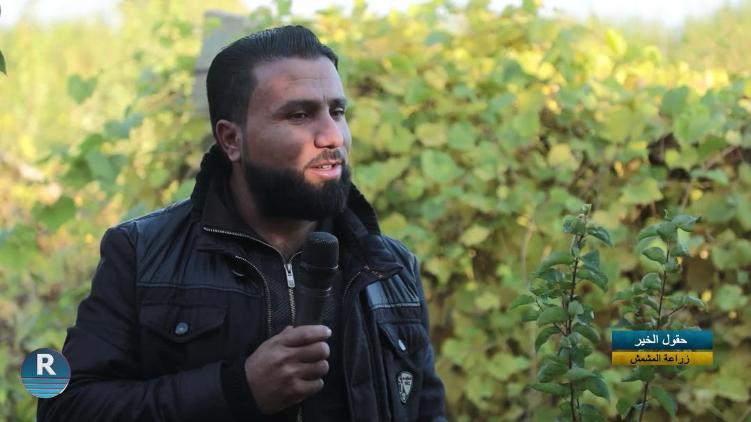 حقول الخير || زراعة المشمش || 22 - 11 - 2025