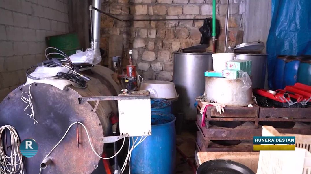 ⁣HUNERA DESTAN || Mûsimê Zeytûnan|| 5 - 11 - 2025