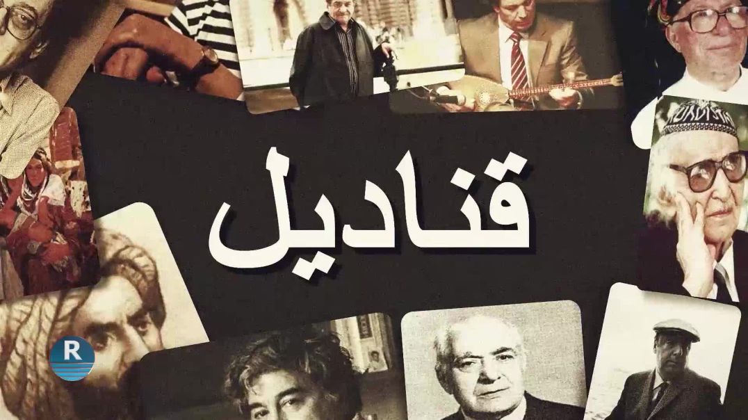 قناديل 9 - 11- 2025