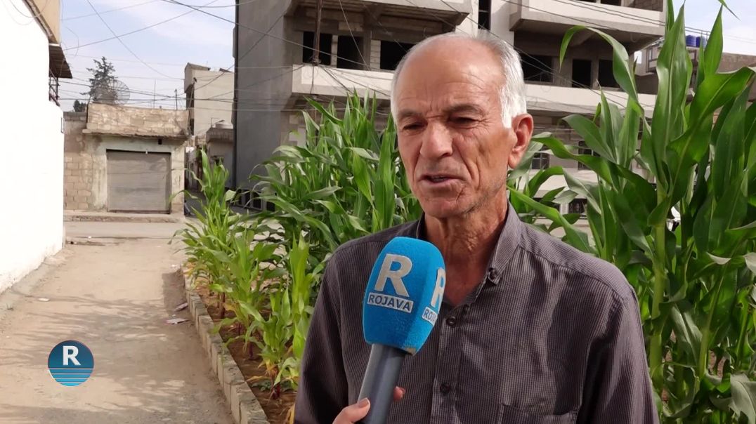 ŞÊNIYÊN BAJARÊ QAMIŞLO: DIVÊ RÊBER ABDULLAH OCALAN WERE AZADKIRIN