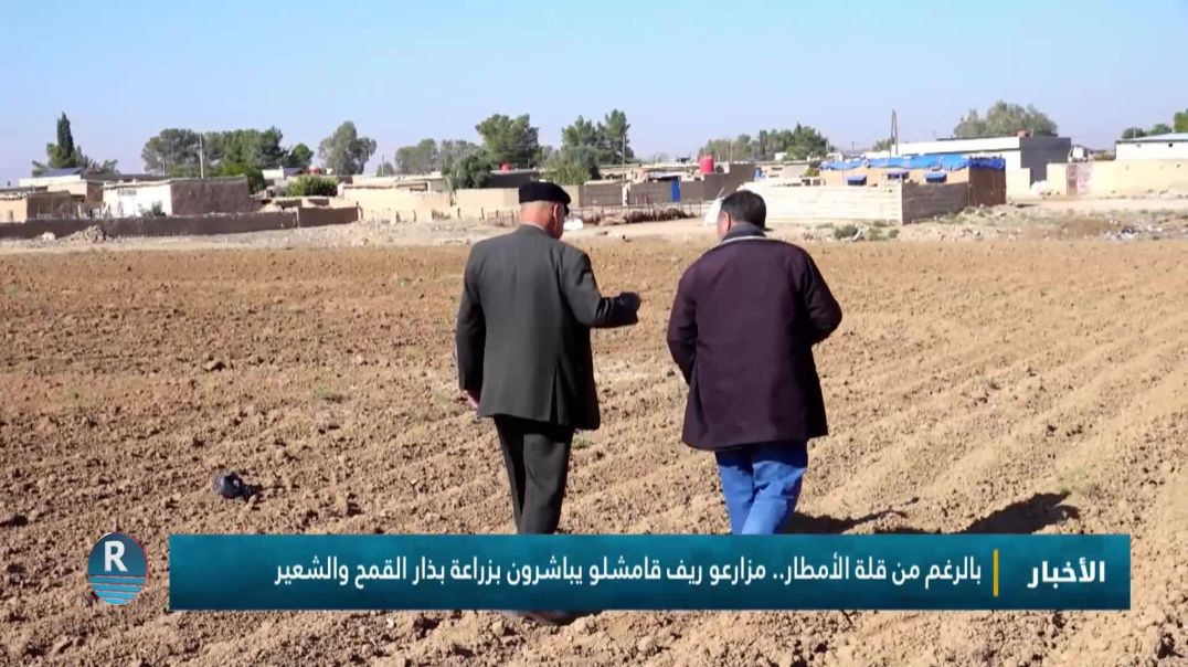 بالرغم من قلة الأمطار.. مزارعو ريف قامشلو يباشرون بزراعة بذار القمح والشعير