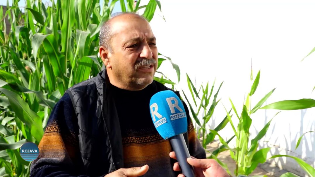 WELATIYÊN QAMIŞLO: RÊBER APO NEXŞERÊYEK JI BO TIRKIYÊ Û ROJHILATA NAVÎN DESTNÎŞAN KIRIYE