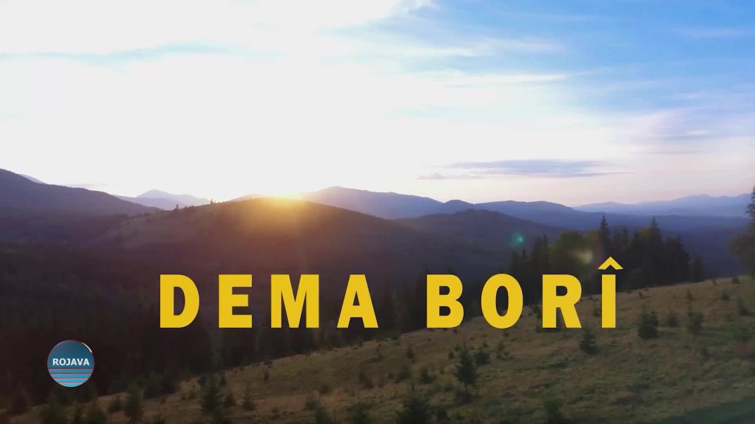 ⁣DEMA BORÎ 17 – 12 - 2025