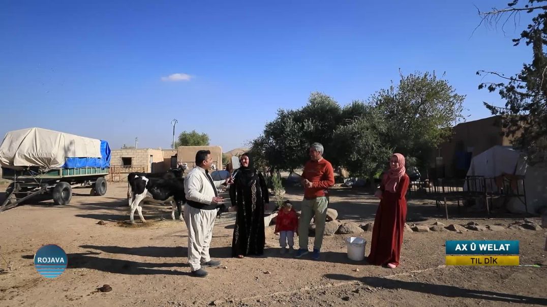 ⁣AX Û WELAT || Gundê Til dîk || 6 - 12 - 2025