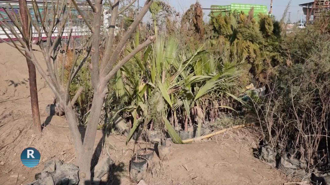 مجلس عوائل الشهداء في الرقة يطلق مشاريع الكوبراتيف لدعم العوائل وتمكينها اقتصادياً