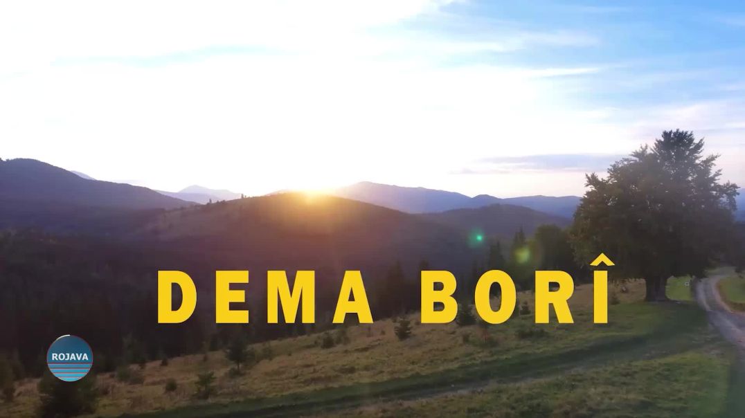 ⁣DEMA BORÎ 10 – 12 - 2025